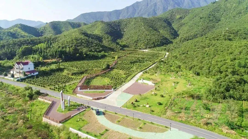 國家級示范，浙江新增4家！
