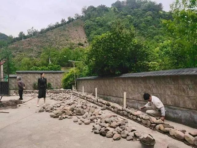 共富“重頭戲”！臨安朱灣村與九耕“牽手”打造“五星生態(tài)農(nóng)場(chǎng)”