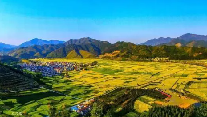 數(shù)字鄉(xiāng)村建設(shè)是推動鄉(xiāng)村全面振興的重要突破口