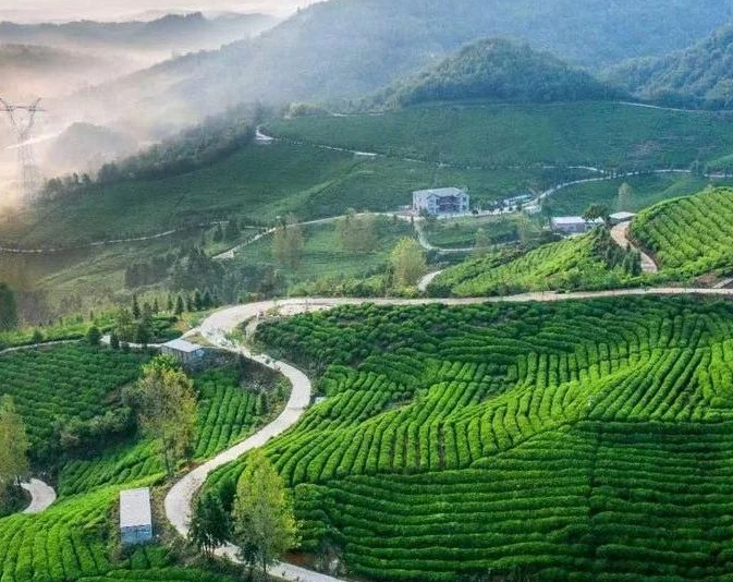 《山西開展農(nóng)村黑臭水體治理辦實辦細辦牢民生實事工作方案》！