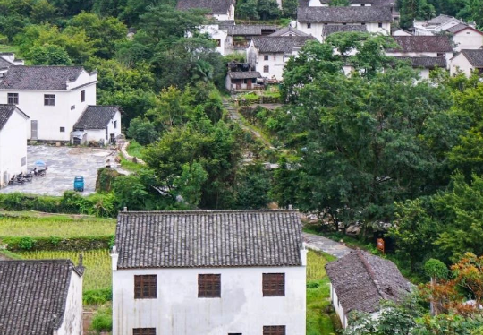 安徽六安市生態(tài)環(huán)境局發(fā)布《2024年六安市土壤、地下水污染防治和農(nóng)村生態(tài)環(huán)境保護工作要點》！