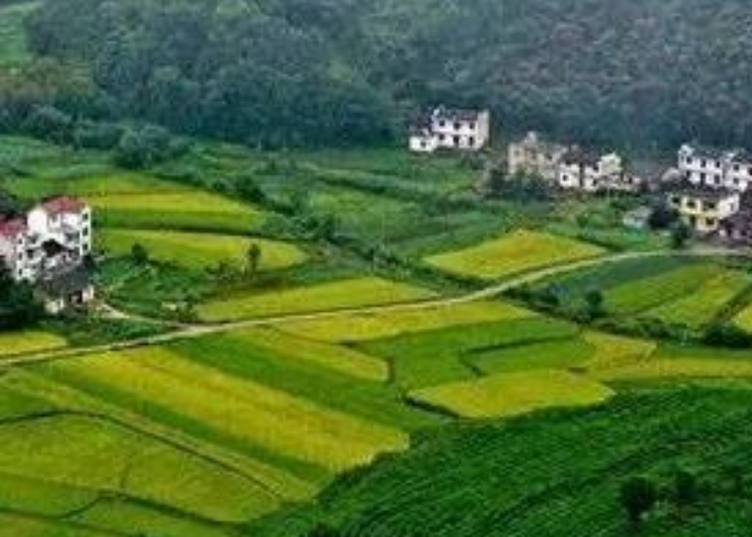 年安排3億元！福建加快推進(jìn)農(nóng)村生活污水提升治理！