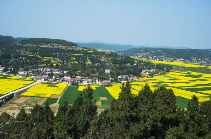 深度研究！探索產(chǎn)業(yè)融合發(fā)展的農(nóng)業(yè)現(xiàn)代化道路