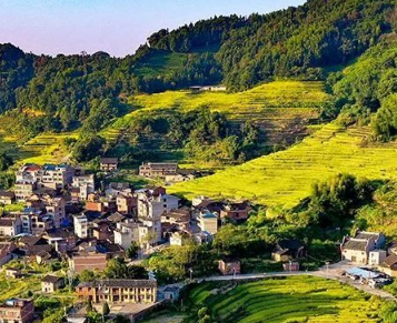 14.15億元！福建下達(dá)鄉(xiāng)村振興示范補(bǔ)助資金