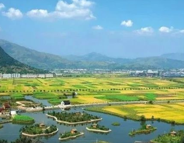 山東印發(fā)實(shí)施意見，大力發(fā)展現(xiàn)代設(shè)施農(nóng)業(yè)